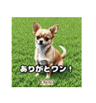 Global Dogs Stickers（個別スタンプ：9）