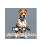 Global Dogs Stickers（個別スタンプ：11）