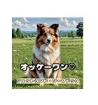 Global Dogs Stickers（個別スタンプ：13）