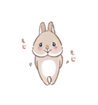 もじもじうさ〜ずLINEスタンプ（個別スタンプ：1）