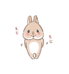 もじもじうさ〜ずLINEスタンプ（個別スタンプ：3）