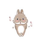 もじもじうさ〜ずLINEスタンプ（個別スタンプ：7）