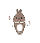 もじもじうさ〜ずLINEスタンプ（個別スタンプ：9）