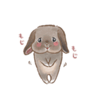 もじもじうさ〜ずLINEスタンプ（個別スタンプ：12）