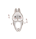 もじもじうさ〜ずLINEスタンプ（個別スタンプ：13）