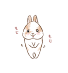 もじもじうさ〜ずLINEスタンプ（個別スタンプ：14）