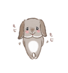 もじもじうさ〜ずLINEスタンプ（個別スタンプ：15）