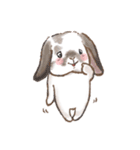 もじもじうさ〜ずLINEスタンプ（個別スタンプ：25）