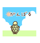 夏のかめ（個別スタンプ：10）