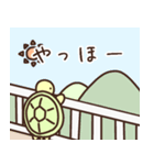 夏のかめ（個別スタンプ：21）