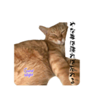 ちゃーくんからあなたへ2（個別スタンプ：7）