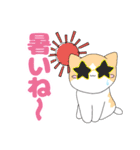 ねこにゃん(夏)（個別スタンプ：11）