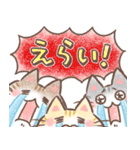 ふんわり＊ねこねこ3【気遣い・思いやり】（個別スタンプ：21）