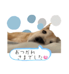 ブライアンと仲間たちPart2（個別スタンプ：2）