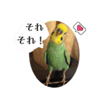 ブライアンと仲間たちPart2（個別スタンプ：6）