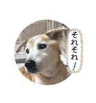 ブライアンと仲間たちPart2（個別スタンプ：7）