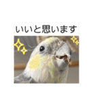 ブライアンと仲間たちPart2（個別スタンプ：8）