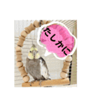 ブライアンと仲間たちPart2（個別スタンプ：11）