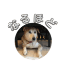 ブライアンと仲間たちPart2（個別スタンプ：14）