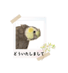 ブライアンと仲間たちPart2（個別スタンプ：15）