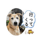 ブライアンと仲間たちPart2（個別スタンプ：20）