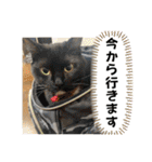 ブライアンと仲間たちPart2（個別スタンプ：21）