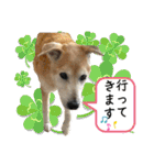 ブライアンと仲間たちPart2（個別スタンプ：22）