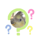 ブライアンと仲間たちPart2（個別スタンプ：24）