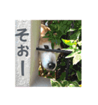 ブライアンと仲間たちPart2（個別スタンプ：26）