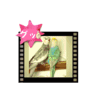 ブライアンと仲間たちPart2（個別スタンプ：33）