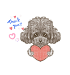 My Dog Stickers-ViVi-（個別スタンプ：1）