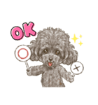 My Dog Stickers-ViVi-（個別スタンプ：5）