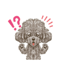 My Dog Stickers-ViVi-（個別スタンプ：6）