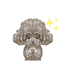 My Dog Stickers-ViVi-（個別スタンプ：13）