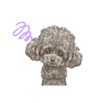 My Dog Stickers-ViVi-（個別スタンプ：14）