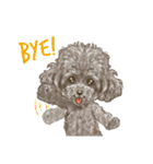 My Dog Stickers-ViVi-（個別スタンプ：15）