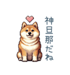 旦那を褒める柴犬【夫婦・嫁】（個別スタンプ：22）