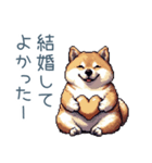 旦那を褒める柴犬【夫婦・嫁】（個別スタンプ：26）