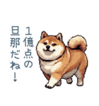 旦那を褒める柴犬【夫婦・嫁】（個別スタンプ：28）