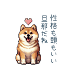 旦那を褒める柴犬【夫婦・嫁】（個別スタンプ：29）