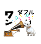 ウェスティ＆ヨーキー（個別スタンプ：24）