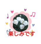 バラの実写ばかり集めた友達との会話（個別スタンプ：2）