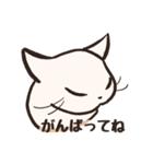 しろねこたち（個別スタンプ：13）