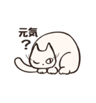 しろねこたち（個別スタンプ：17）