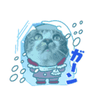 毎日使えるにゃんみ（個別スタンプ：14）