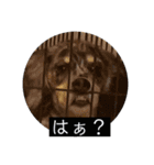 ぬぅ活してますか（個別スタンプ：17）