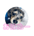 ぬぅ活してますか（個別スタンプ：21）