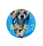 ぬぅ活してますか（個別スタンプ：24）