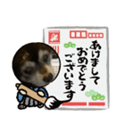 ポポ＆トト＆パオ（個別スタンプ：21）