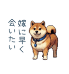 嫁を褒める柴犬【カップル・旦那】（個別スタンプ：27）